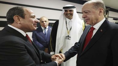 How did the meeting between Erdogan and el-Sisi at the G20 Summit disrupt the Muslim Brotherhood's plans?