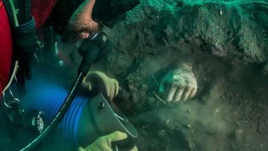 Images reveal important underwater archaeological discovery in Alexandria