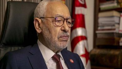 Political Analyst: Claims Made by Organizations Against Tunisia Are False