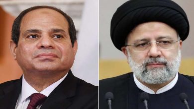 Political Science Professor: There Is a Rapprochement Regarding the Return of Egyptian-Iranian Relations