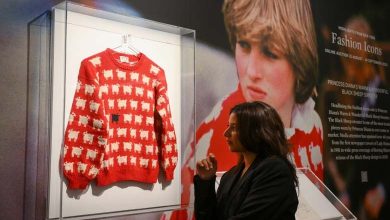The Most Famous Princess Diana Sweater Sold for Over a Million Dollars