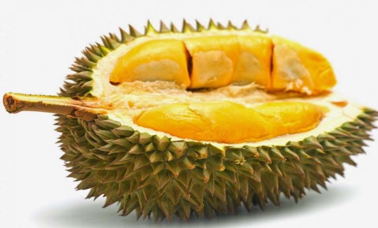 "Durian, the King of Fruits" - These are the Benefits of the "Stinky" Fruit