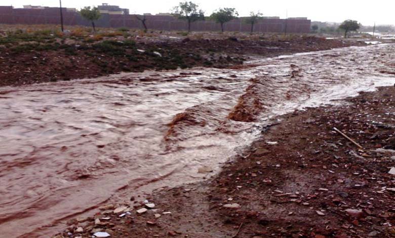 Why Is It Important to Deal with Mud Removal After Flooding?