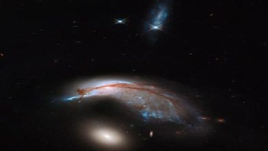 A bird guarding an egg: A unique image of a spiral galaxy