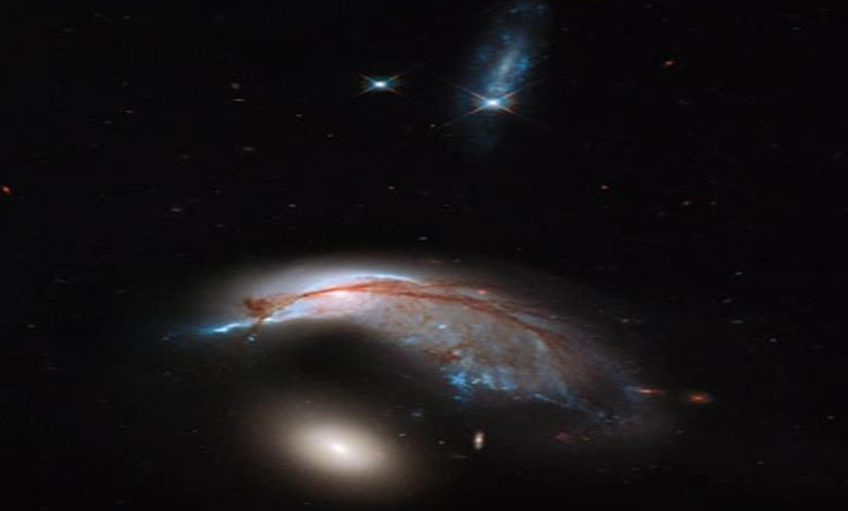 A bird guarding an egg: A unique image of a spiral galaxy