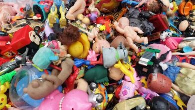 Deadly and causes death... study warns of a children's game 