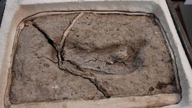 Destroys all old ideas... Discovery of the Oldest Human Presence in the Americas