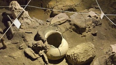 Discovery of preserved wine in Southern Egypt for 5000 years... What does it mean?