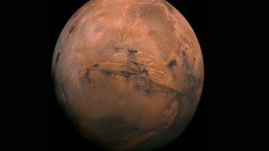 Discovery of the source of a giant earthquake that hit Mars... The reason is shocking