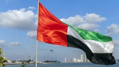 Efforts by the UAE to support stability and protect civilians in Gaza 