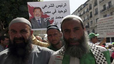 Expert reveals differences among the Muslim Brotherhood due to the Presidential Elections in Egypt