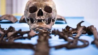 Shocking study: Europeans ate human flesh as a funerary ritual