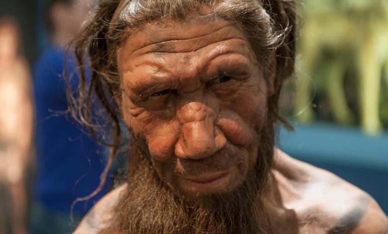 Study reveals a new secret about human ancestors