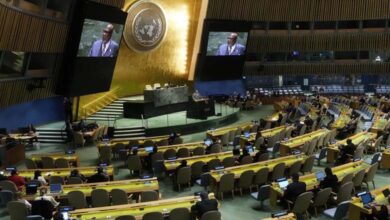 Towards Implementing a Gaza Ceasefire: UAE Diplomatic Movement Post-UN Resolution