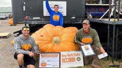 Une citrouille géante bat des records - Quel était son poids ?