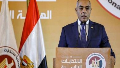 Wide Egyptian rejection of the European Parliament's report on elections in Egypt: It serves the Muslim Brotherhood Agenda