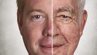A new important discovery for an anti-aging drug 