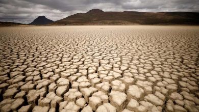 Climate change weakens the ability of structures in Siberia to resist warming