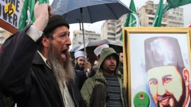 Did the Muslim Brotherhood negatively affect European sympathy for the Palestinian cause? 