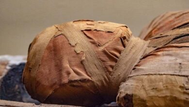 Discovery of 'Book of the Dead' in an ancient Egyptian tomb 