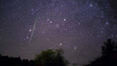 Distinctive astronomical phenomena adorn the sky before the end of 2023