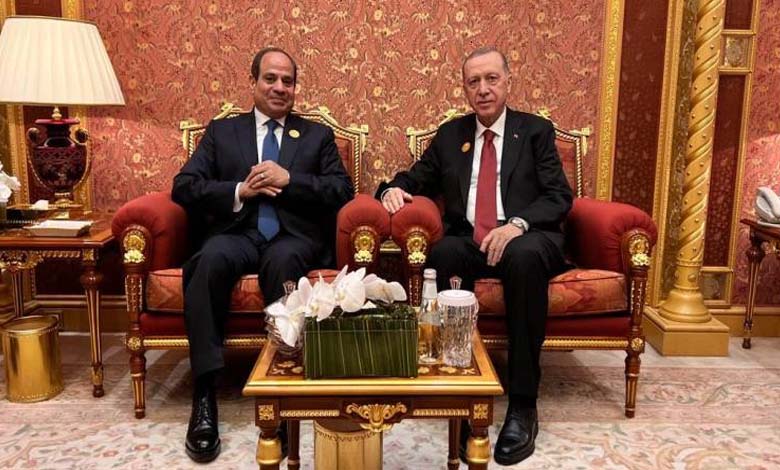 El-Sisi and Erdogan meeting... What did their body language reveal?