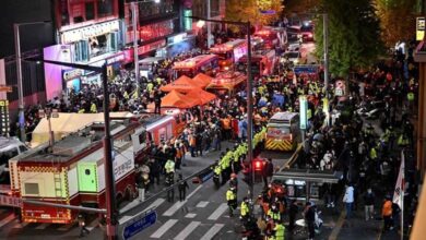 Halloween 2023: Real blood fills celebration theaters 