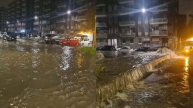 Italy Drowns, and 'Moses System' Protects Venice 