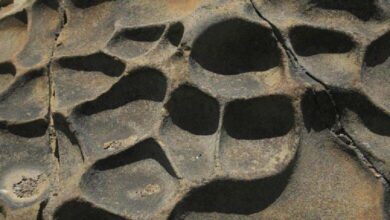 Natural Weathering of Rocks: When Volcanoes Compete in Carbon Emissions 