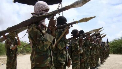 Somali President reveals the date for eliminating the terrorist group "Al-Shabaab" 
