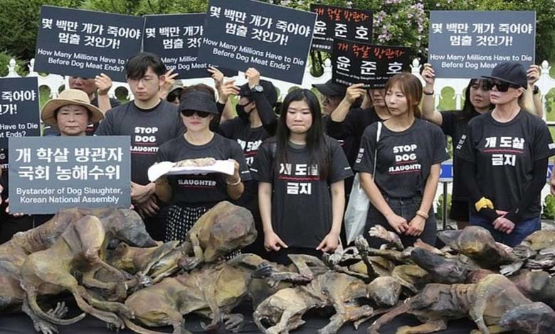 South Korea seeks to pass a law prohibiting the consumption of dog meat 