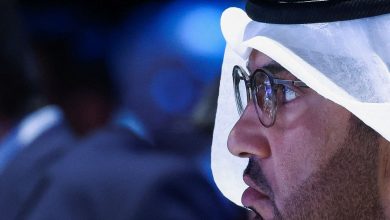 Sultan Al Jaber denies derogatory allegations against the UAE