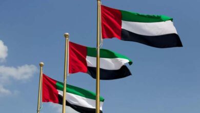The United Arab Emirates Supports the Security and Stability System in Yemen's Shabwah