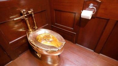 Theft of a golden toilet from an English Palace... What is its value? 