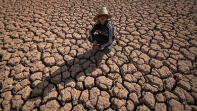 Threatened by thirst... Planet earth faces a 'Salt Crisis'