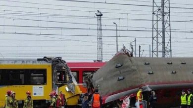 17 injured in train collision in Italy 