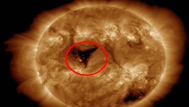 "20 Times the Earth"... NASA reveals massive solar hole