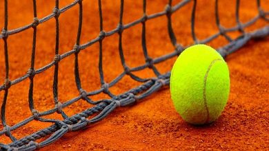 A study classifies tennis as a 'Dangerous Sport'... Here are its brain injuries