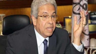 Abdel Moneim Said: The Muslim Brotherhood is a global entity capable of manipulation