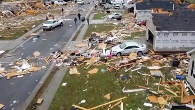 Australian Storms: 9 Dead, Winds Uproot Trees