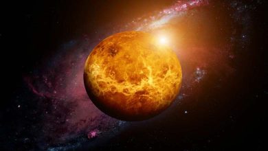 Discovery of a "Hot" planet that welcomes a new year every 22 days 