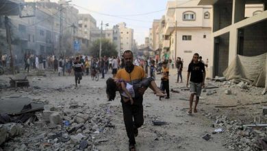 Gaza... Massacres, Health Crises, and Displacement Plans 