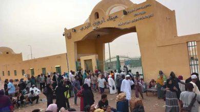 Human Rights Watch criticizes Egypt for imposing visas on Sudanese entry