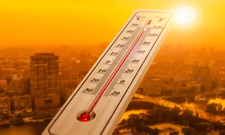 Organization: Global Temperature Rises by 1.4 Degrees Celsius in 2023 