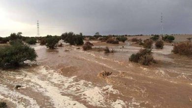 Rain alleviates thirst concerns in Tunisia, raising a "warning bell"