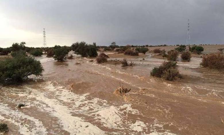 Rain alleviates thirst concerns in Tunisia, raising a "warning bell"