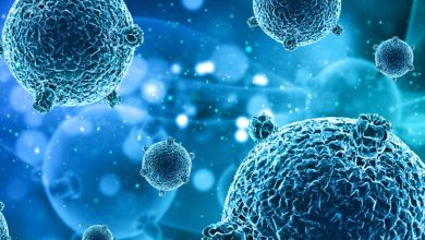 Severe viral infection hits european country - 2000 cases reported so far
