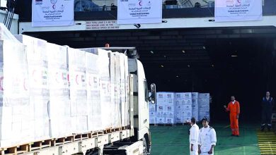 "The Gallant Knight 3"... The UAE sends a ship loaded with 4000 tons of aid to support Palestinians
