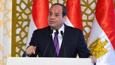 This is what Al-Ghamry revealed about the Muslim Brotherhood's stance on reconciliation with the Egyptian regime 