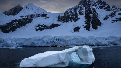 World's largest iceberg 'moves' after 37 years of stagnation 
